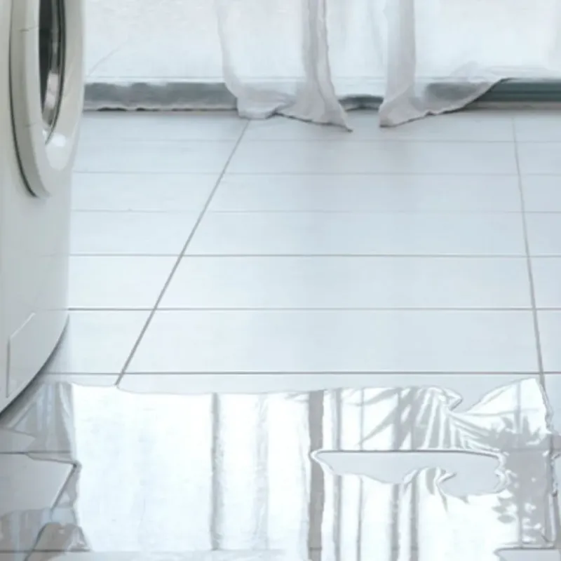 Appliance Leak Cleanup in Saint Martin, MS