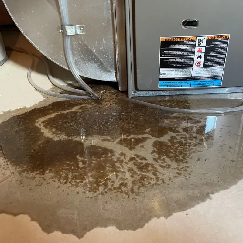 Pipe Burst and Leak Restoration in Saint Martin, MS