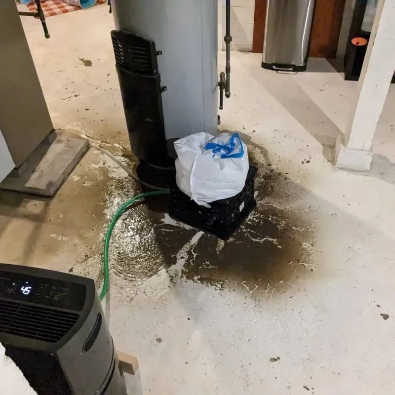 Sewage Backup Cleanup Service in Saint Martin, MS